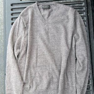 Banana Republic Sweater (Merino Wool, Men, V neck, Size Small)